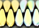 111-69-014 5x16mm 00030/98557