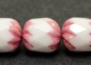 151-95-017 10x8mm 02010/15726